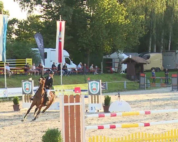 Reitturnier Grafenrheinfeld/Ufr. 2024