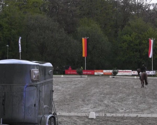 Halver - Frühjahrsturnier 2013