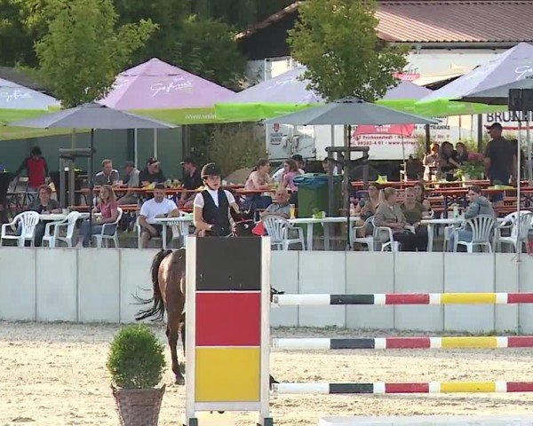 Reitturnier Grafenrheinfeld/Ufr. 2024
