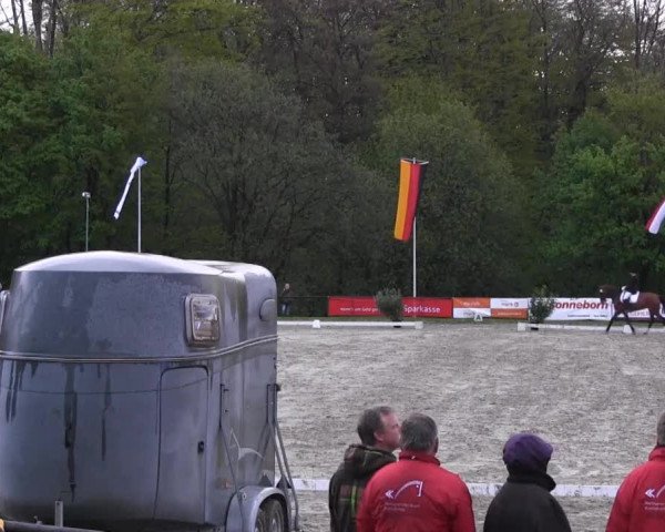 Halver - Frühjahrsturnier 2013