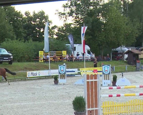 Reitturnier Grafenrheinfeld/Ufr. 2024