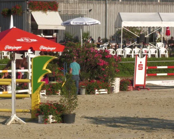 Reitturnier Oberderdingen 2024