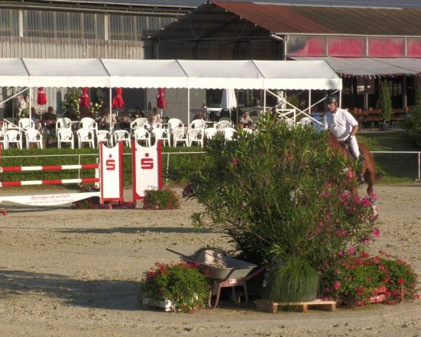 Reitturnier Oberderdingen 2024