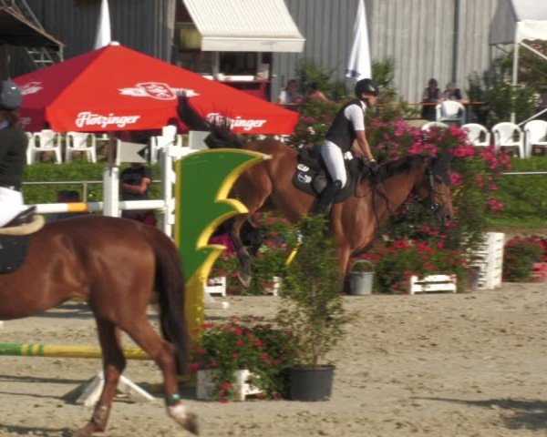 Reitturnier Oberderdingen 2024