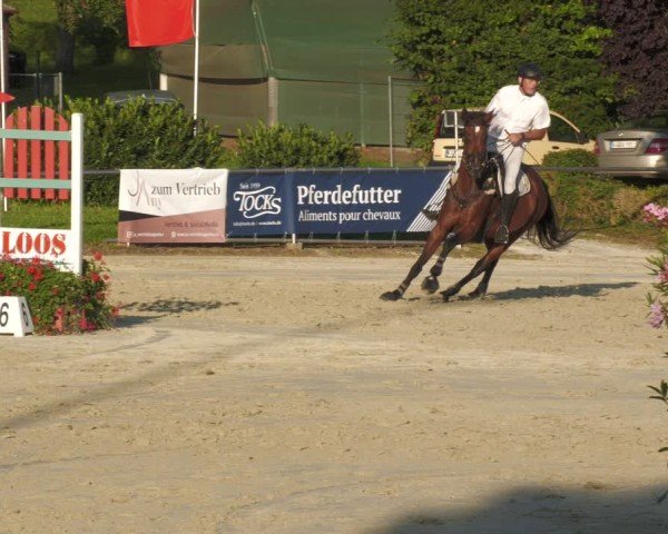 Reitturnier Oberderdingen 2024