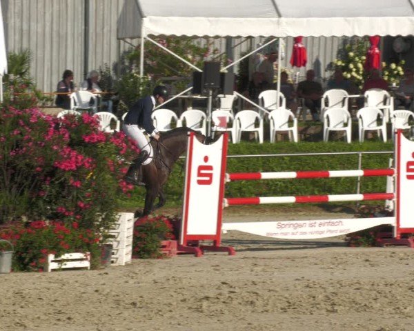 Reitturnier Oberderdingen 2024
