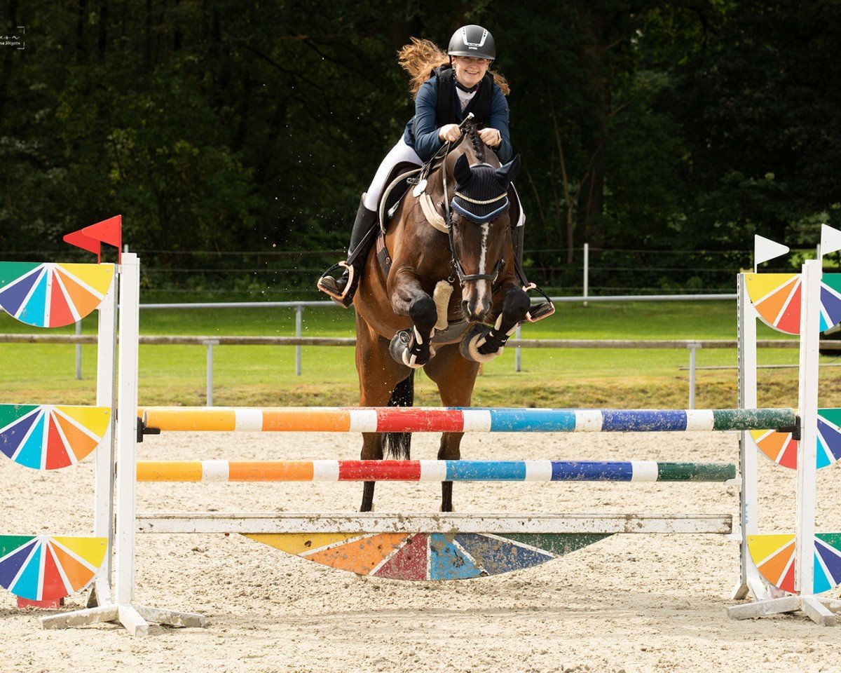 jumper Dumont Nh (Württemberger, 2012, from Don Bolero 3)