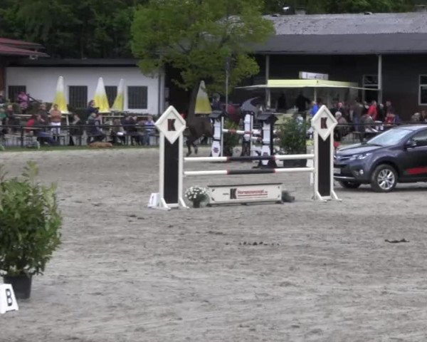 Halver - Frühjahrsturnier 2013