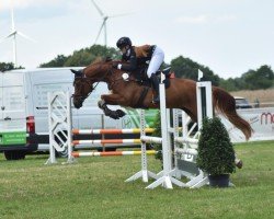 jumper Le Beau 75 (Hanoverian, 2017, from Light my Fire)