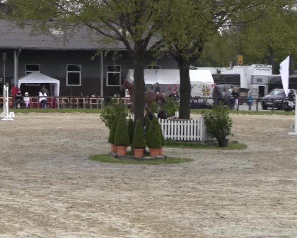 Halver - Frühjahrsturnier 2013