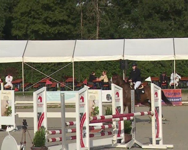 Reitturnier Grafenrheinfeld/Ufr. 2024