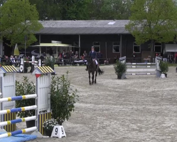 Halver - Frühjahrsturnier 2013