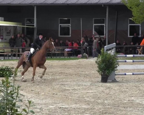 Halver - Frühjahrsturnier 2013