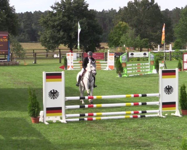 Reitturnier Niemegk / Neuendorf 2024