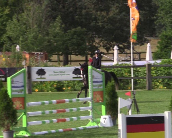 Reitturnier Niemegk / Neuendorf 2024