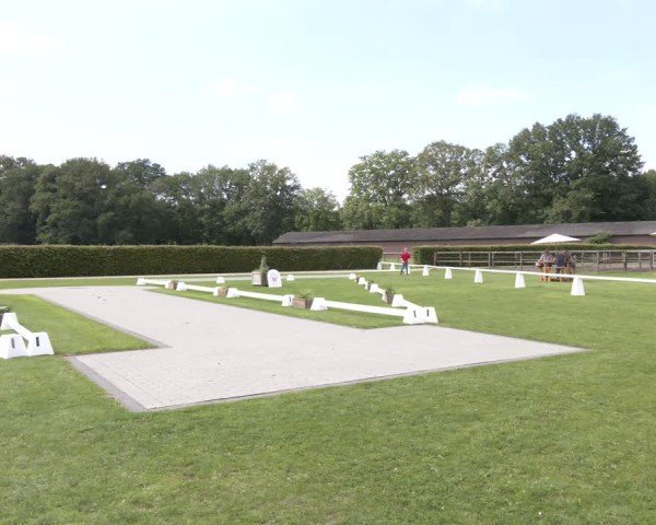 Westfälische Stuten- und Fohlenschau Münster-Handorf 2024