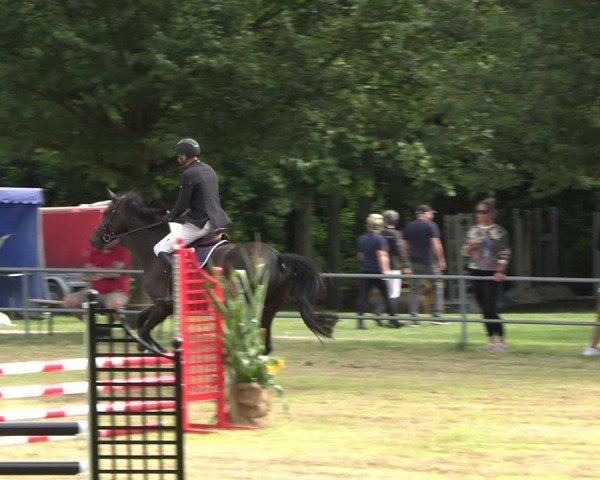 Reitturnier Woldegk 2024