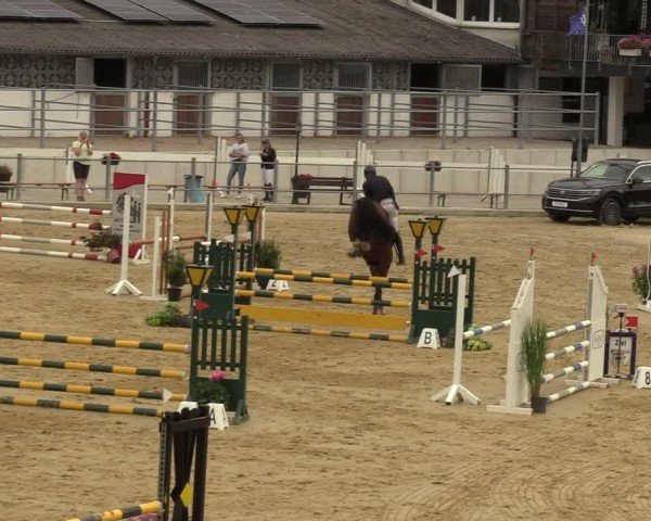 Reitturnier Castrop-Rauxel/Ober-Castrop 2024