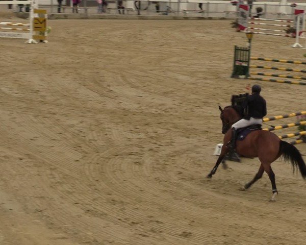Reitturnier Castrop-Rauxel/Ober-Castrop 2024