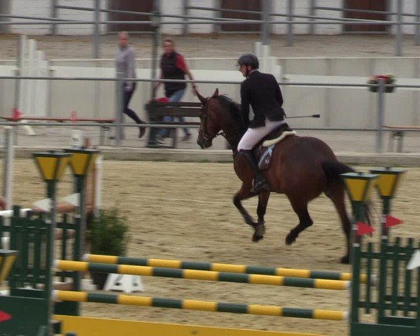 Reitturnier Castrop-Rauxel/Ober-Castrop 2024
