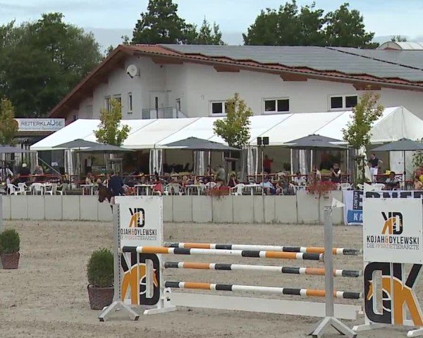 Reitturnier Grafenrheinfeld/Ufr. 2024
