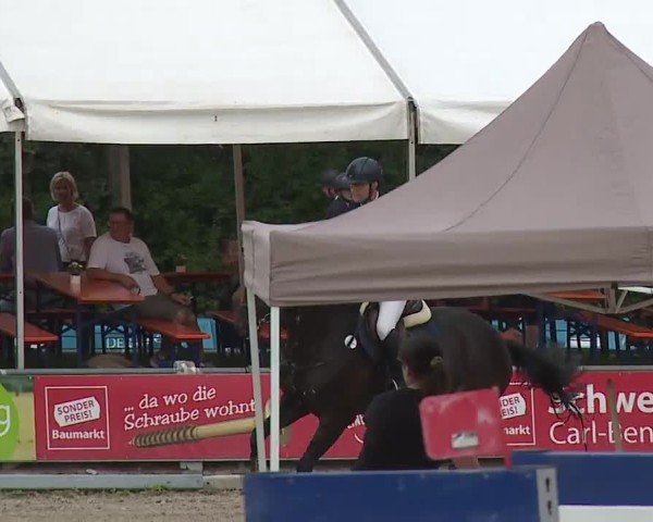 Reitturnier Grafenrheinfeld/Ufr. 2024