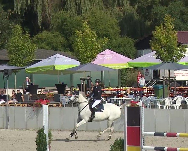 Reitturnier Grafenrheinfeld/Ufr. 2024