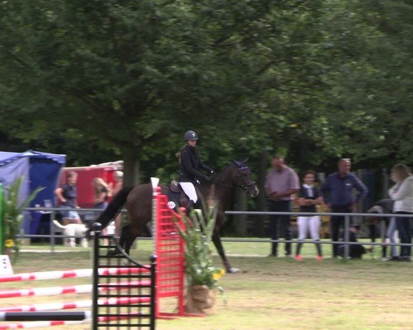 Reitturnier Woldegk 2024