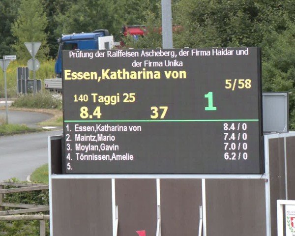 Reitturnier Münster-Amelsbüren 2024