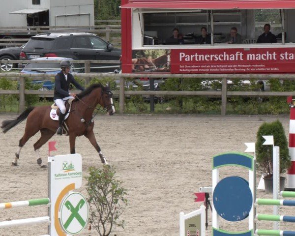 Reitturnier Münster-Amelsbüren 2024
