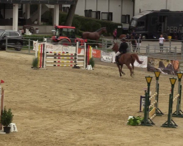 Reitturnier Castrop-Rauxel/Ober-Castrop 2024