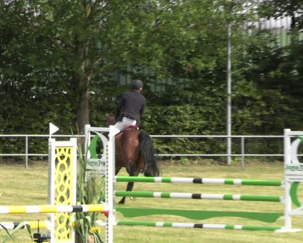Reitturnier Woldegk 2024