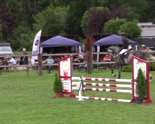 Reitturnier Niemegk / Neuendorf 2024