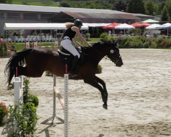 Reitturnier Oberderdingen 2024
