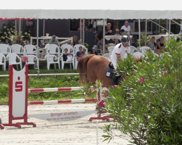 Reitturnier Oberderdingen 2024