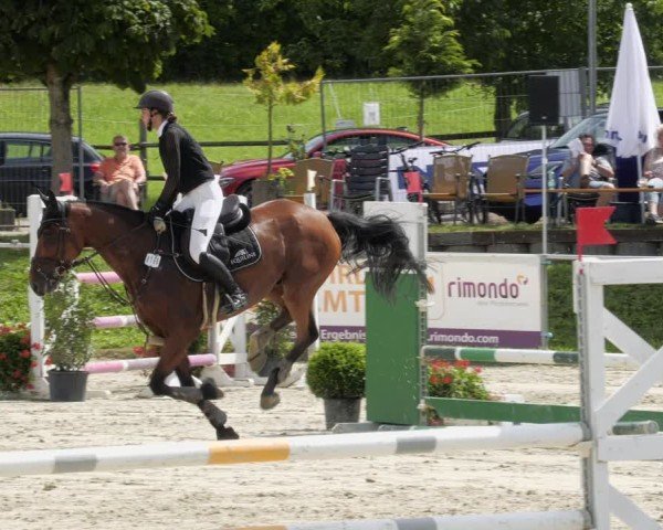 Reitturnier Oberderdingen 2024