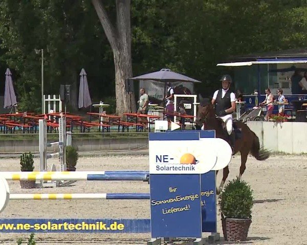 Reitturnier Grafenrheinfeld/Ufr. 2024