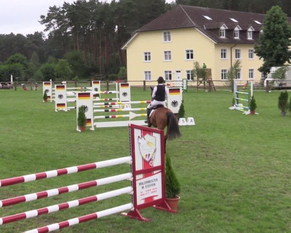 Reitturnier Niemegk / Neuendorf 2024