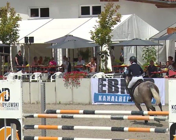 Reitturnier Grafenrheinfeld/Ufr. 2024