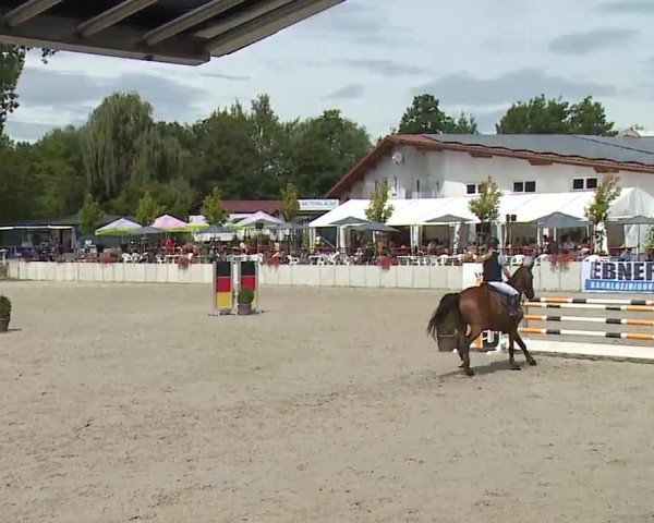 Reitturnier Grafenrheinfeld/Ufr. 2024