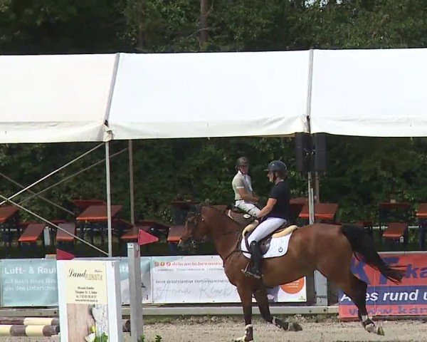 Reitturnier Grafenrheinfeld/Ufr. 2024