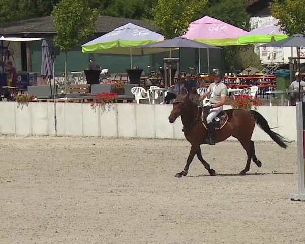 Reitturnier Grafenrheinfeld/Ufr. 2024
