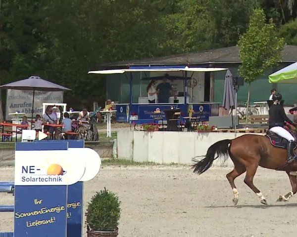 Reitturnier Grafenrheinfeld/Ufr. 2024