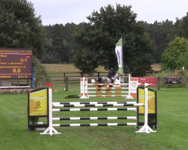 Reitturnier Niemegk / Neuendorf 2024