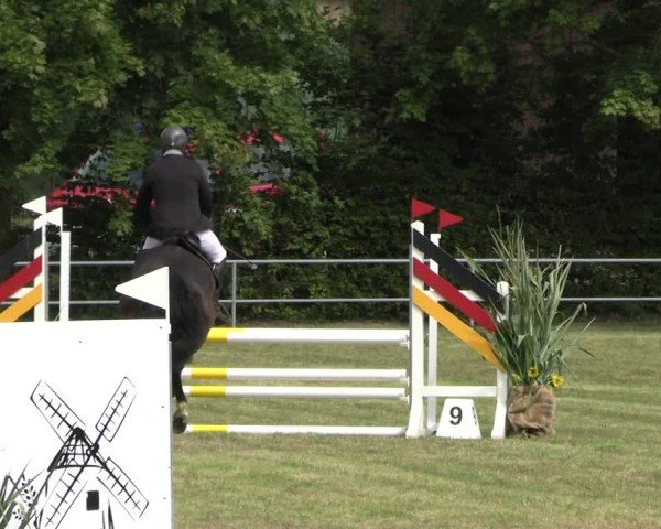 Reitturnier Woldegk 2024