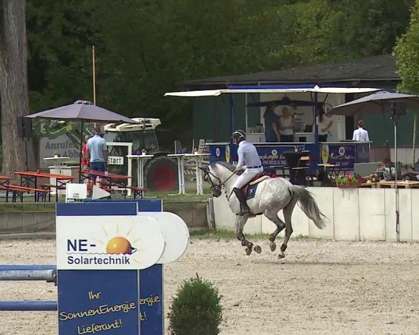 Reitturnier Grafenrheinfeld/Ufr. 2024