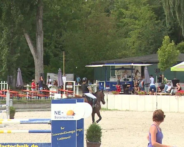 Reitturnier Grafenrheinfeld/Ufr. 2024