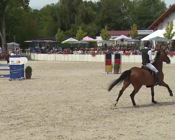 Reitturnier Grafenrheinfeld/Ufr. 2024