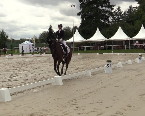 Reitturnier Bergisch Gladbach - Hebborner Hof 2024