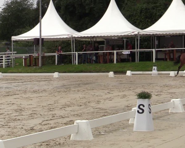Reitturnier Bergisch Gladbach - Hebborner Hof 2024